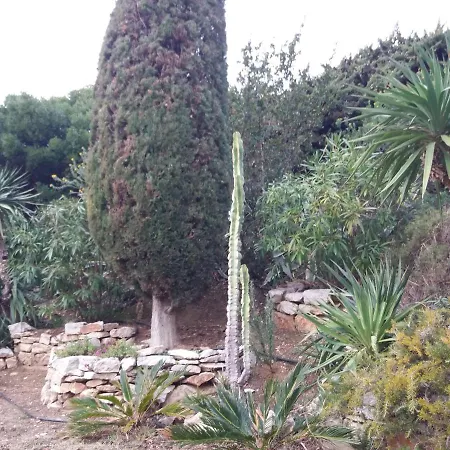 Appartement Coste Location Cassis
